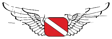Jason Blair logo
