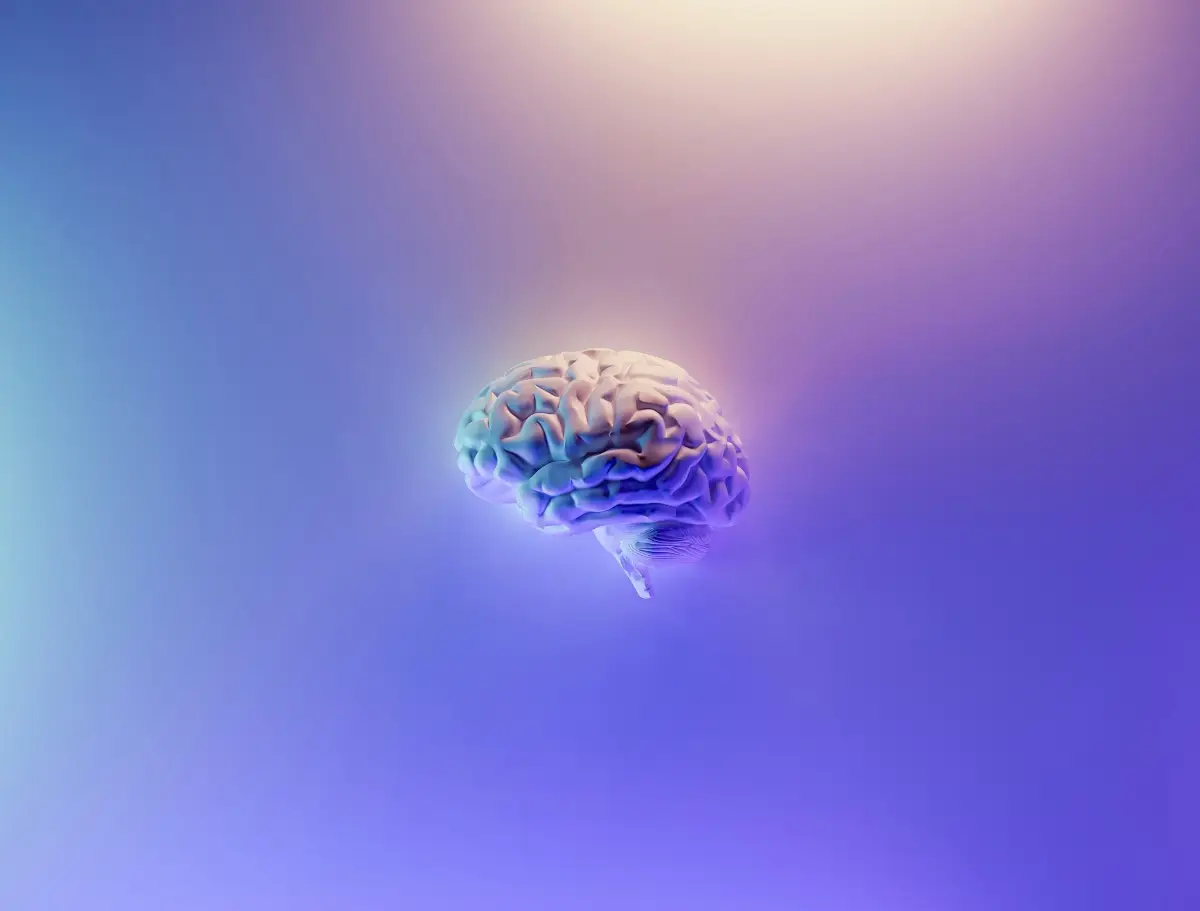 Why Flight School Marketing is Really About Understanding Human Behavior