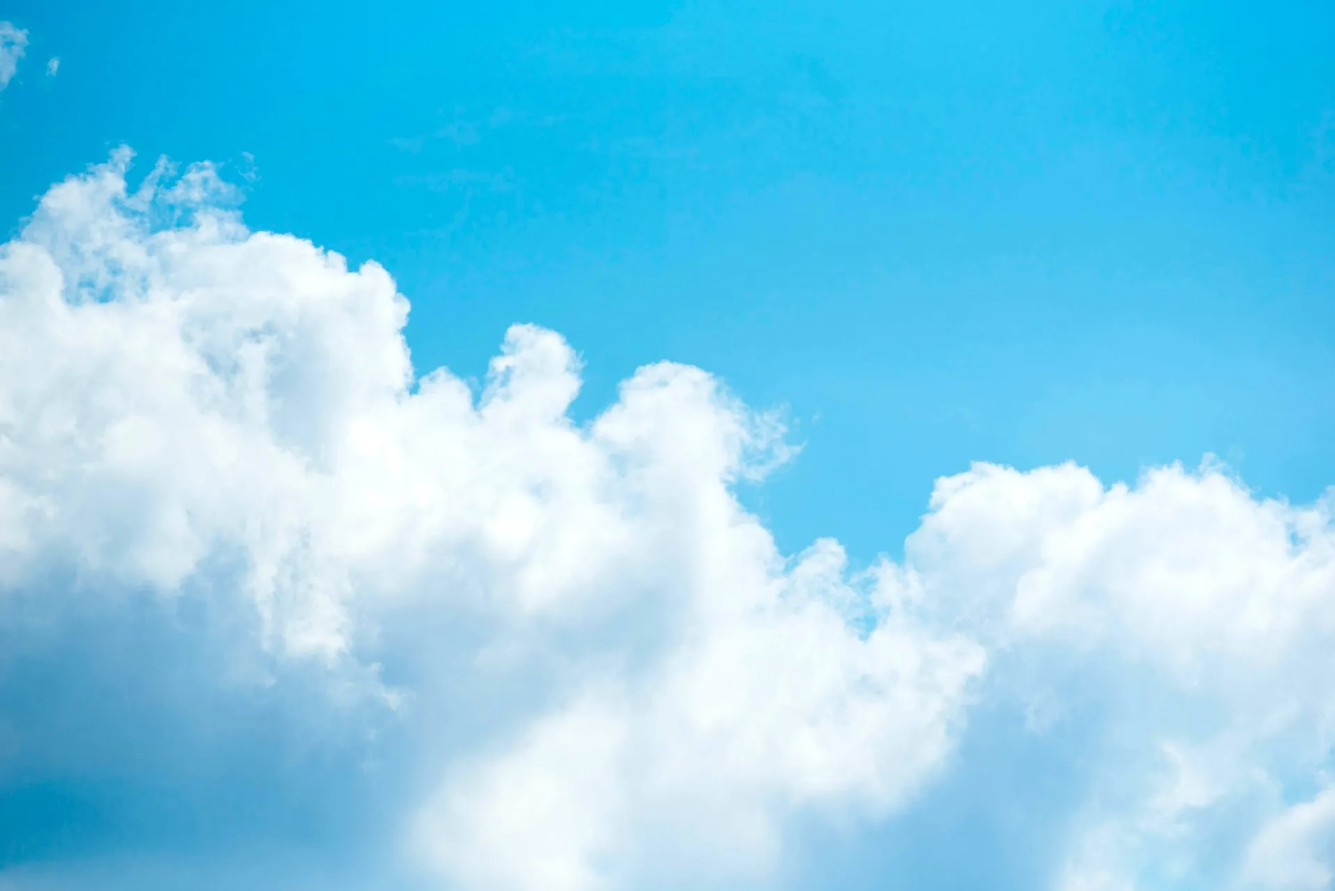 Google Business Profile Management for Flight Schools