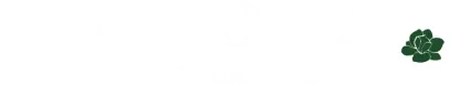 Magnolia Aviation Academy logo