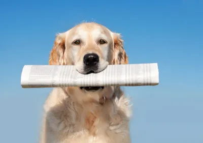 Aviation industry press release distribution