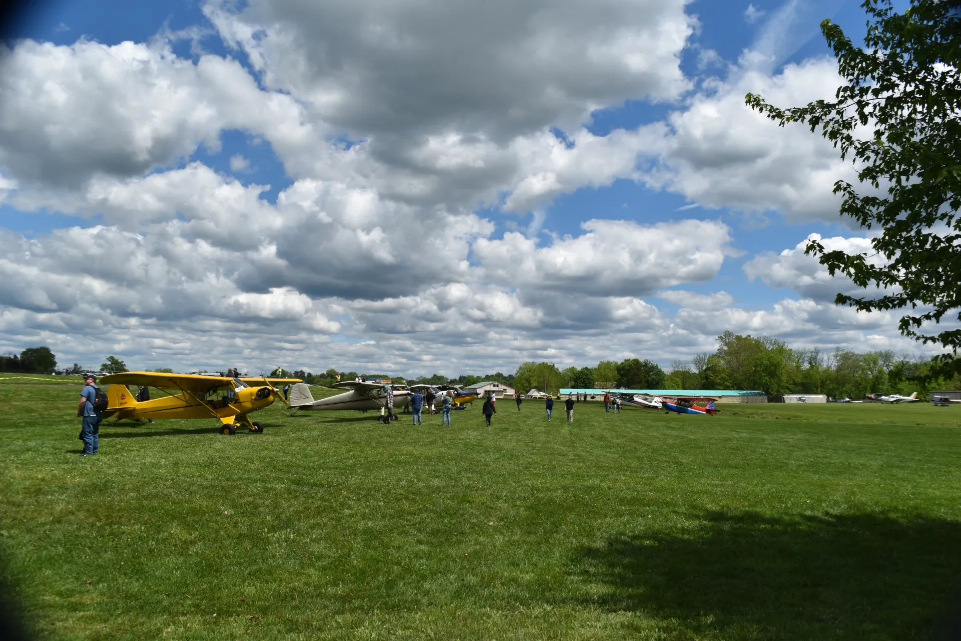 Pitcairn Heritage Field panoramic view