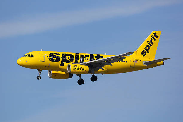 Federal Judge Halts JetBlue's Spirit Airlines Bid Due to Antitrust Concerns